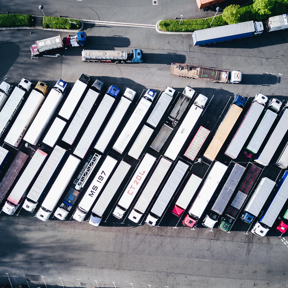 Teltonika ProCam Alternatives: Multi-Camera Dashcams for Vans and HGVs