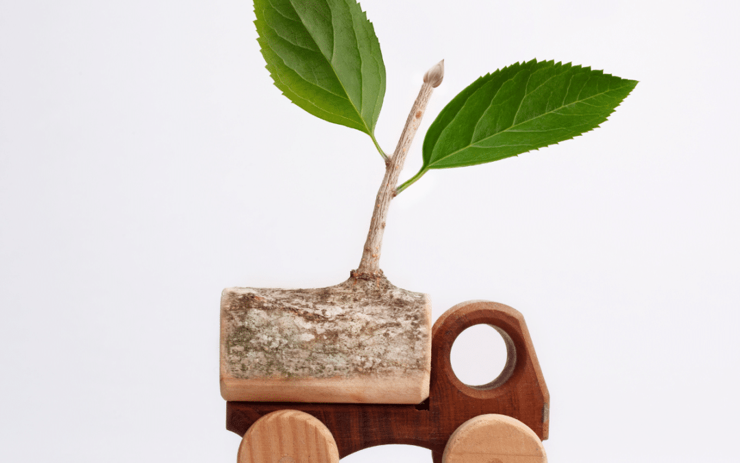 Driving Towards a Greener Future: Integrating Eco-Friendly Initiatives into Fleet Operations
