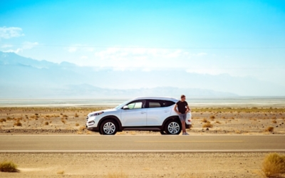 Fleet Security: Theft & Vandalism Response for Turo Hosts